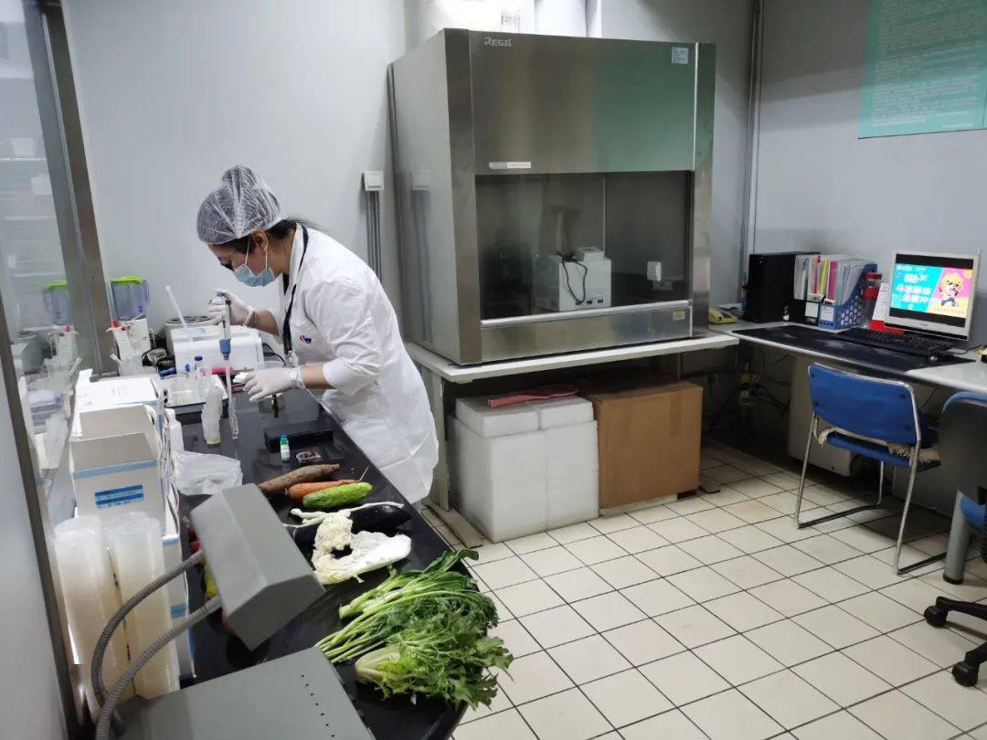 叶县食品检测实验室装修方案